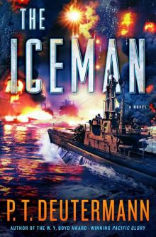 The Iceman_A Novel Read online