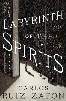 The Labyrinth of the Spirits Read online