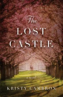 The Lost Castle Read online