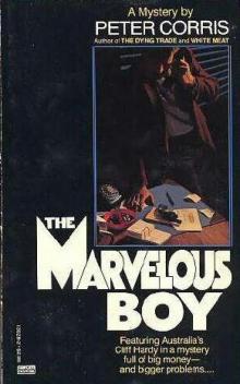 The Marvellous Boy ch-3 Read online