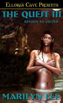 The Quest III: Return to Volter Read online