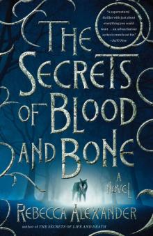 The Secrets of Blood and Bone Read online