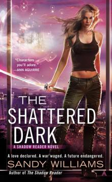 The Shattered Dark Read online