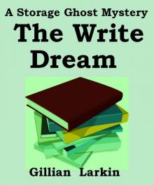 The Write Dream (Storage Ghosts) Read online