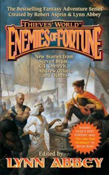 Thieves' World: Enemies of Fortune Read online