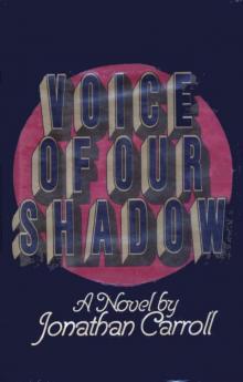 Voice of our Shadow Read online