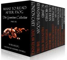 What to Read After FSOG: The Gemstone Collection (WTRAFSOG Book 6) Read online