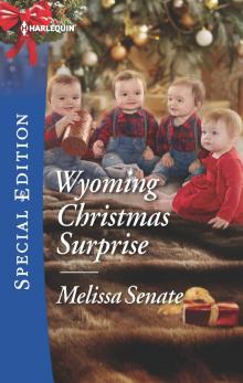 Wyoming Christmas Surprise Read online