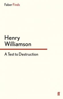 A Test to Destruction Read online