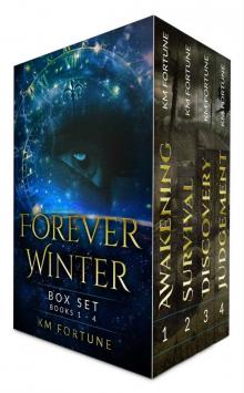 Forever Winter Box Set (Books 1 - 4): A Future Dystopian Survival Series Adventure Read online