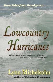 Lowcountry Hurricanes Read online
