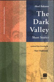 The Dark Valley