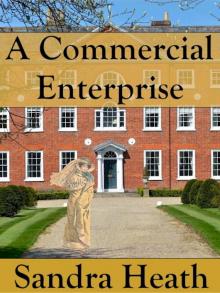 A Commercial Enterprise Read online