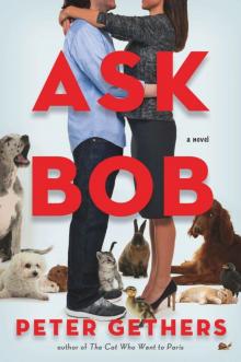 Ask Bob: A Novel Read online