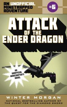 Attack of the Ender Dragon Read online
