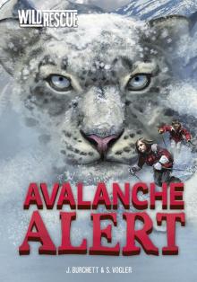Avalanche Alert Read online