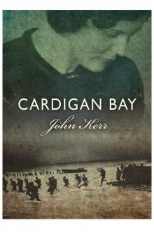 Cardigan Bay Read online