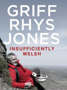 Insufficiently Welsh Read online