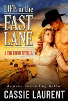 Life in the Fast Lane: A BBW Erotic Novella (Western Romance, Billionaire Cowboy, Curvy Girls) Read online