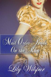Mail Order Bride: On The Run: A Historical Mail Order Bride Story (Mail Order Brides) Read online