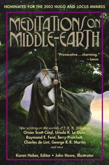Meditations on Middle-Earth Read online