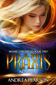 Praxis Novellas, Mosaic Chronicles Book Two Read online