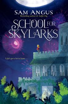 School for Skylarks Read online