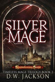 Silver Mage (Book 2) Read online