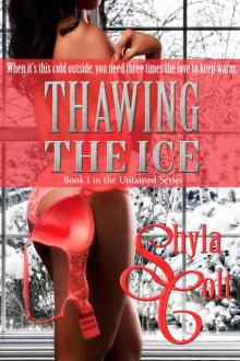 Thawing the Ice Read online