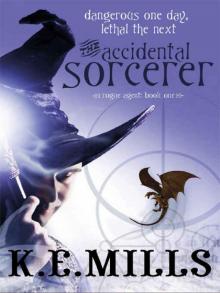 The Accidental Sorcerer Read online