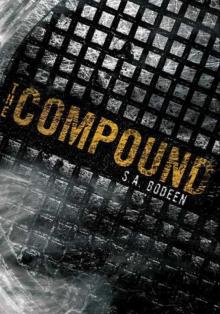 The Compound Read online