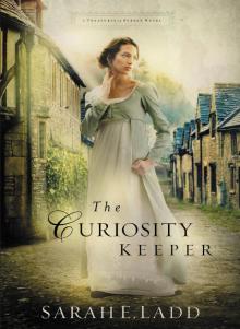 The Curiosity Keeper Read online