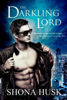 The Darkling Lord: Court of the Banished book 1 (Annwyn Series 4) Read online