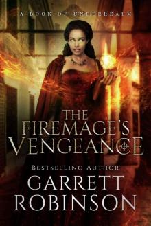 The Firemage's Vengeance Read online