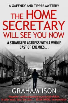 The Home Secretary Will See You Now (Gaffney and Tipper Mysteries Book 3) Read online