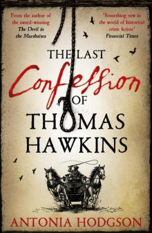 The Last Confession of Thomas Hawkins Read online