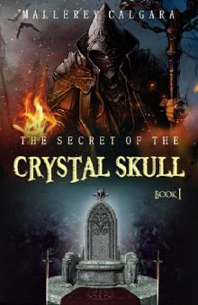 The Secret Of The Crystal Skull