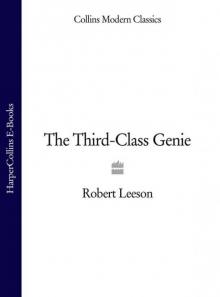 The Third-Class Genie