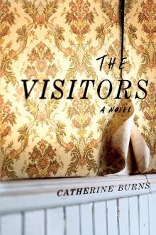 The Visitors Read online