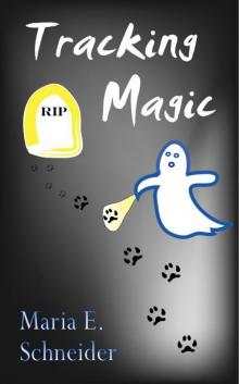 Tracking Magic Read online