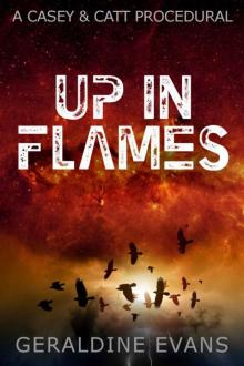 Up in Flames Read online