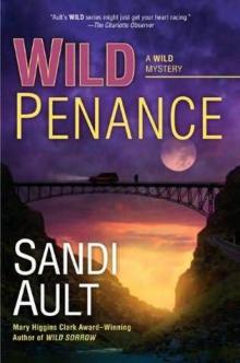 Wild Penance Read online