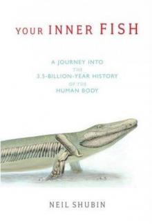 Your Inner Fish: A Journey Into the 3.5-Billion-Year History of the Human Body Read online