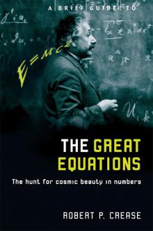 A Brief Guide to the Great Equations Read online