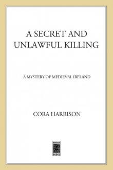 A Secret and Unlawful Killing Read online
