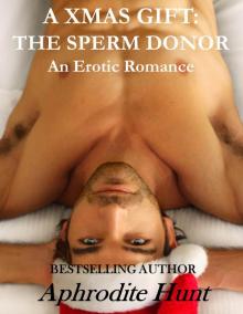 A Xmas Gift: The Sperm Donor Read online