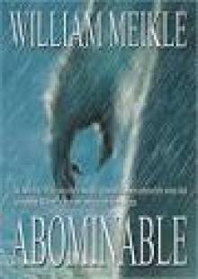 Abominable Read online