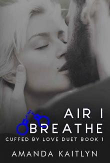 Air I Breathe (Hudson and Emmy Book 1)