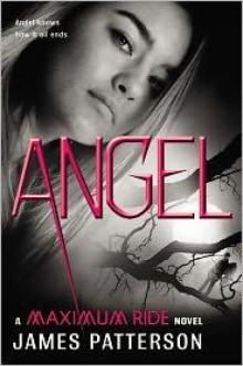 Angel: A Maximum Ride Novel mr-7 Read online
