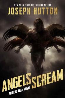 Angels Scream (Echo Team Book 2) Read online